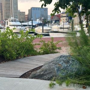 Meet your Posher, Ameen